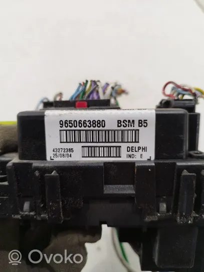 Peugeot 307 BSM Control unit 9650663880