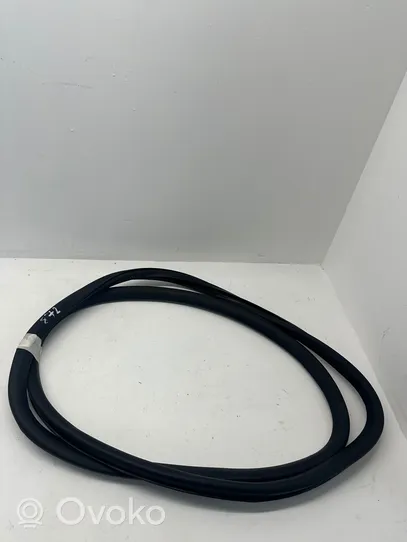 Volkswagen PASSAT B7 Front door rubber seal 