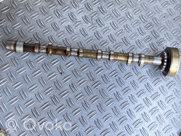 Volkswagen Golf V Albero a camme 06F109102A