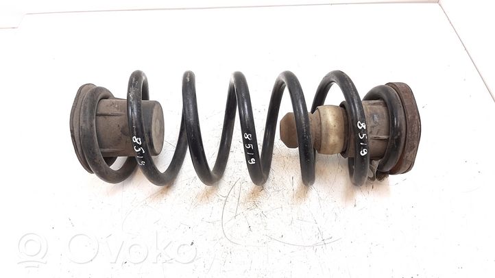 Volkswagen Routan Rear coil spring 