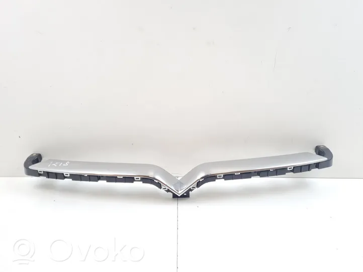 Tesla Model X Atrapa chłodnicy / Grill 105506900E