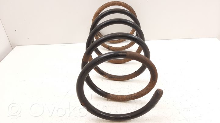 Hyundai Terracan Rear coil spring 