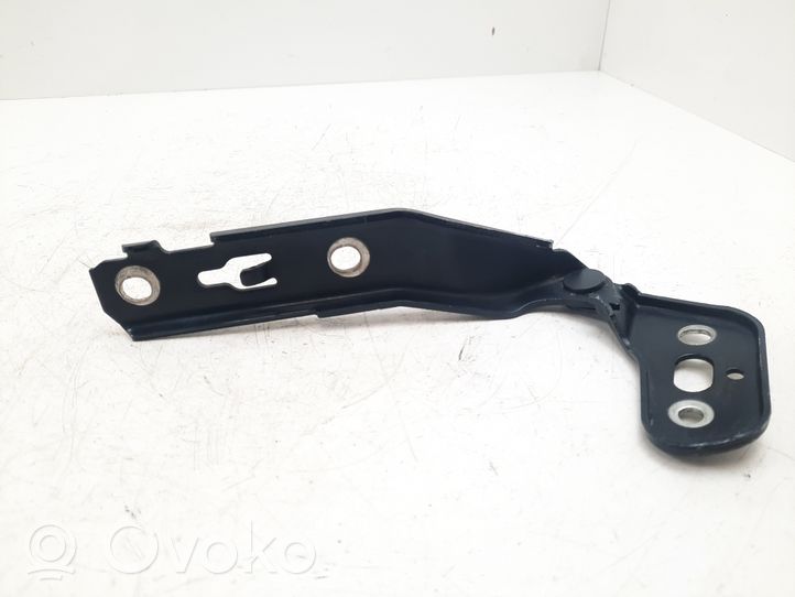 Audi RS6 C6 Engine bonnet/hood hinges 4F0823302