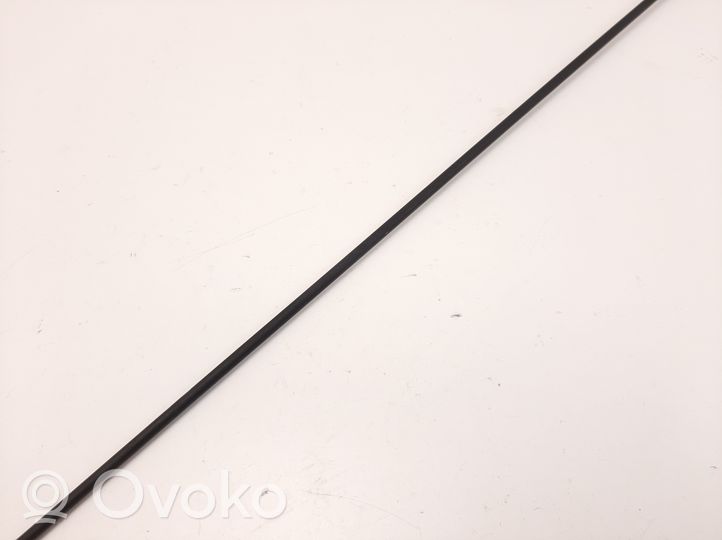 Dacia Sandero Antenna autoradio 