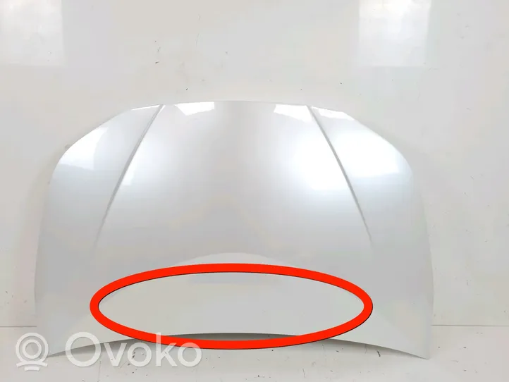 Toyota Prius (XW50) Engine bonnet/hood 