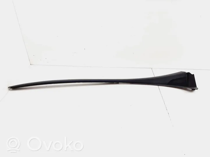 Renault Trafic III (X82) Windshield trim 104555A1