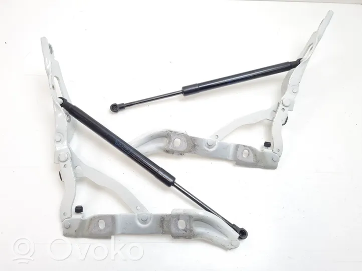 BMW 2 F22 F23 Cerniera portellone posteriore/bagagliaio 7304557