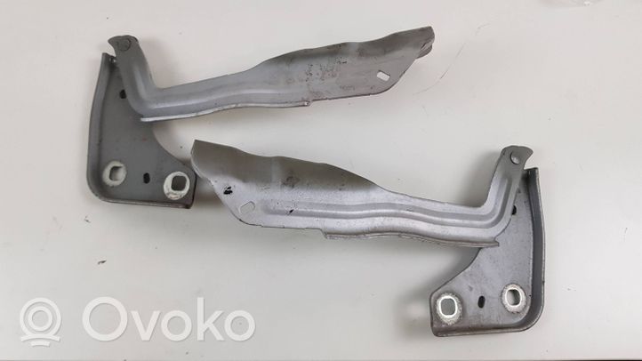 Ford Edge II Engine bonnet/hood hinges FT4BR16800A