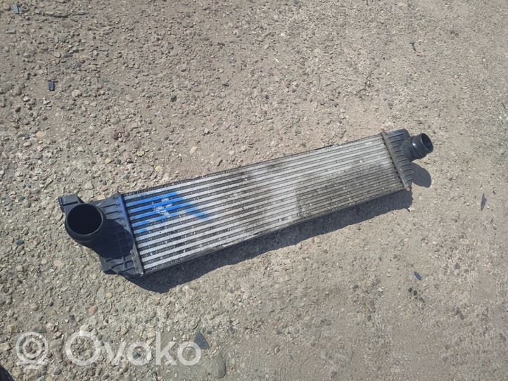 Renault Master III Chłodnica powietrza doładowującego / Intercooler 