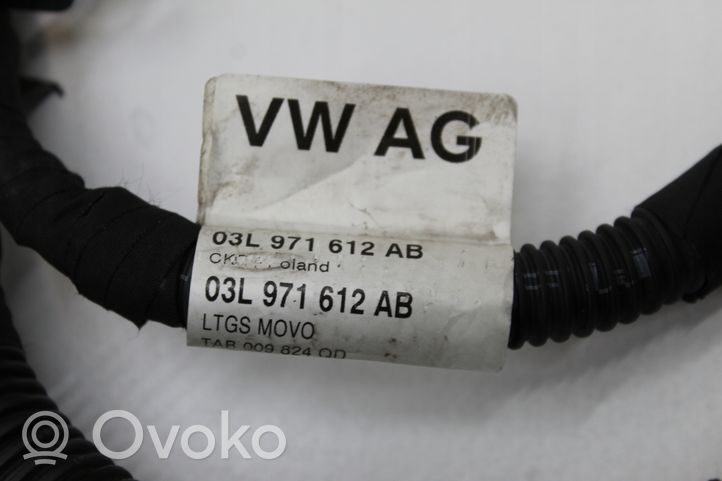 Seat Ibiza IV (6J,6P) Faisceau de câblage pour moteur 03L971612AB