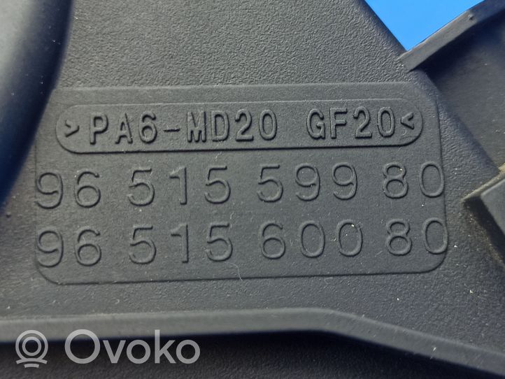 Volvo S40 Osłona paska / łańcucha rozrządu 9651559980