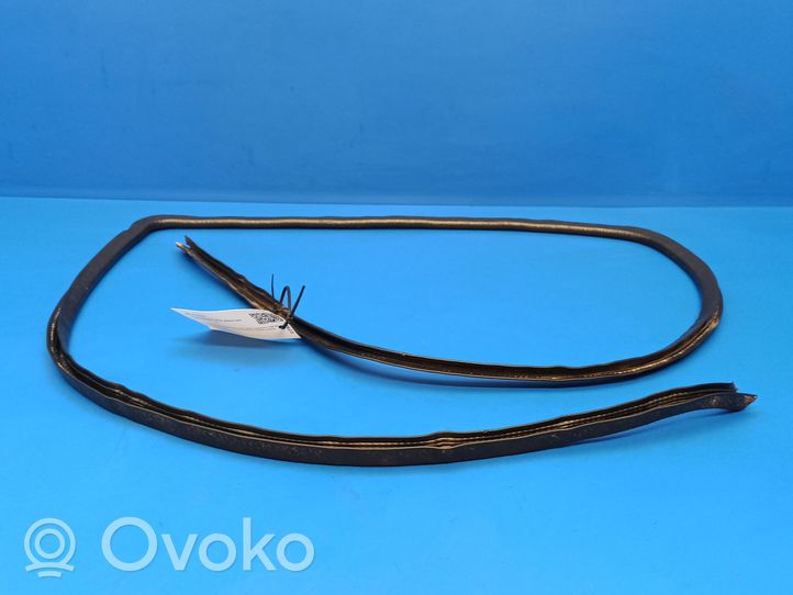 Volvo 240 Rear door rubber seal (on body) 