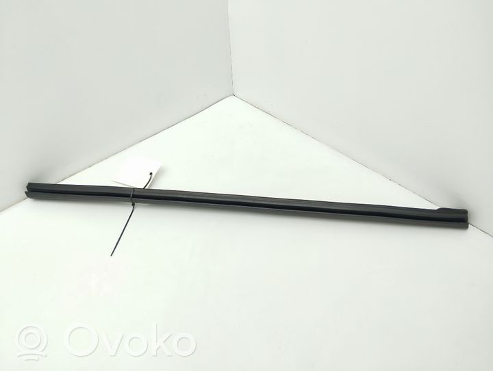 Volvo S60 Front door glass trim molding 