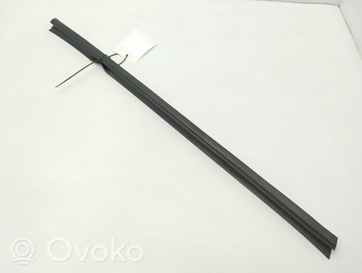 Volvo S60 Front door glass trim molding 