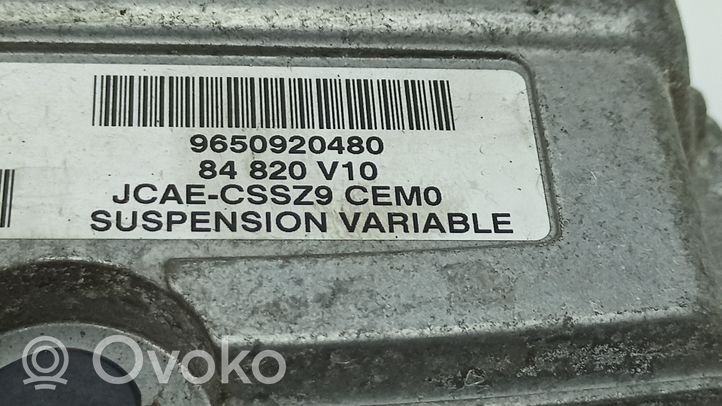 Peugeot 607 Module de commande suspension 215849956B