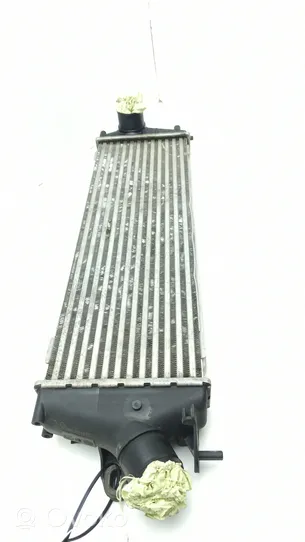 Nissan Primastar Chłodnica powietrza doładowującego / Intercooler 8200411160