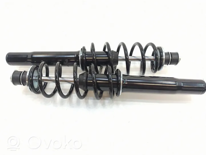 Microcar M8 Front shock absorber with coil spring 1010769