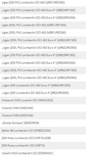 Ligier JS 60 Cinghia di distribuzione 2024