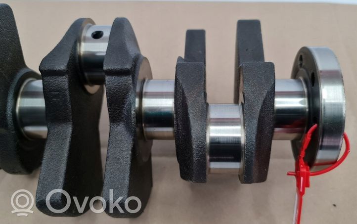 Skoda Citigo Crankshaft 