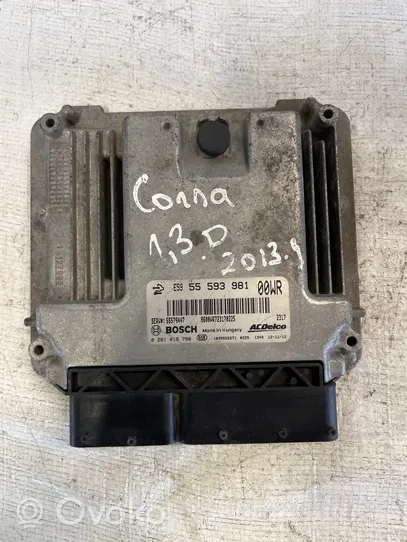 Opel Corsa D Sterownik / Moduł ECU 55579447