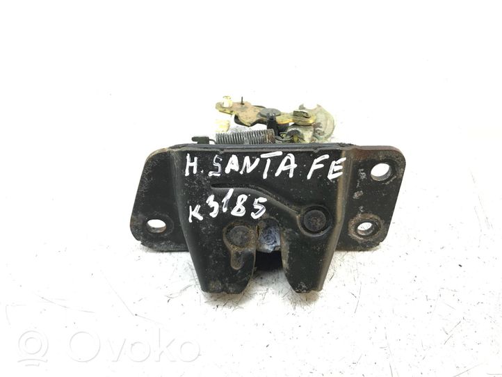 Hyundai Santa Fe Loading door lock 