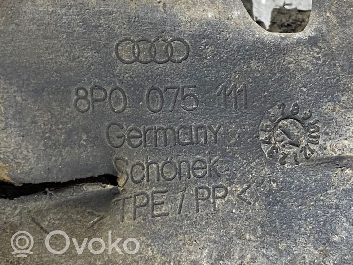 Audi A3 S3 8P Priekinis purvasargis 8P0075111