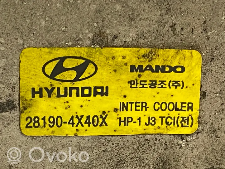 Hyundai Terracan Välijäähdyttimen jäähdytin 281904X40X