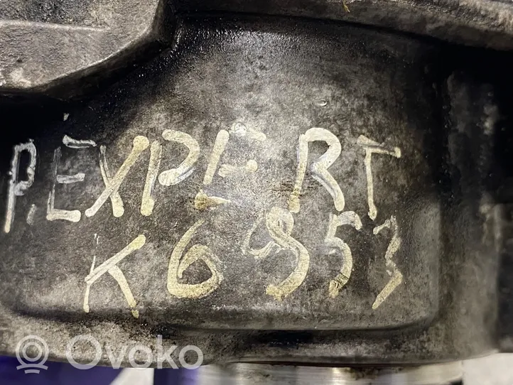 Peugeot Expert Pompa a vuoto 9804021880