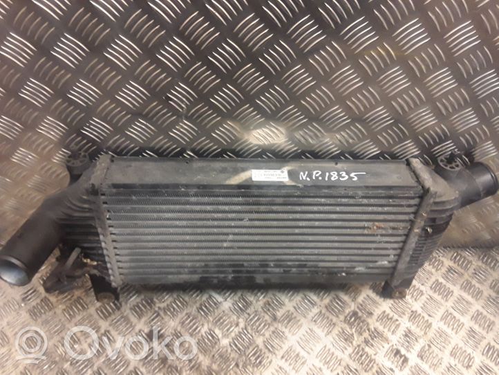 Nissan Pathfinder R51 Radiatore intercooler 14461EB360