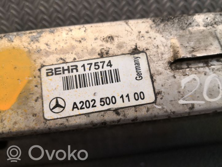 Mercedes-Benz C W202 Välijäähdyttimen jäähdytin 2025001100