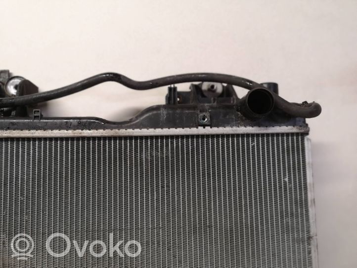 Toyota Land Cruiser (J150) Coolant radiator 1640030300