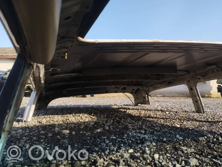 Toyota Land Cruiser (J100) Dach 