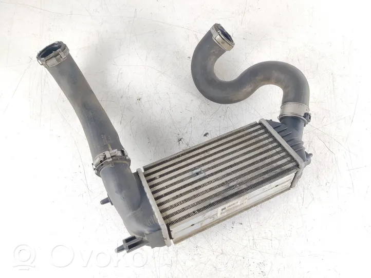 Citroen Jumpy Radiatore intercooler 1440010980