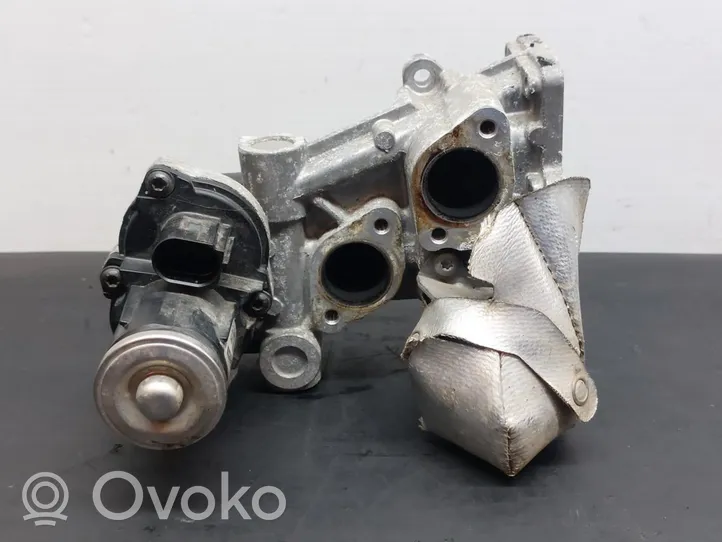 Volkswagen Polo V 6R EGR valve 