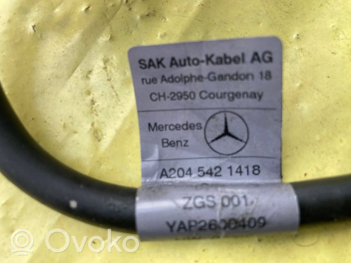 Mercedes-Benz C AMG W204 Câble négatif masse batterie A2045421418