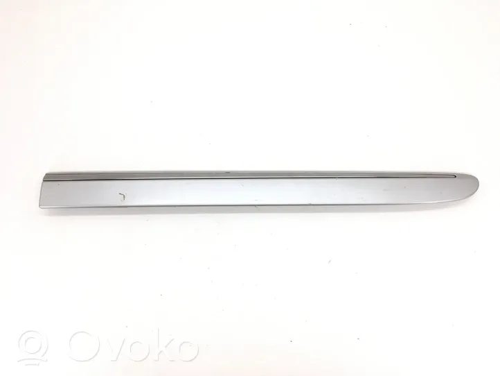 Mercedes-Benz E W211 Sliding door trim (molding) A2116901362