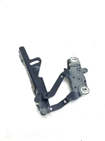 BMW 4 F32 F33 Cerniere del vano motore/cofano 7336700