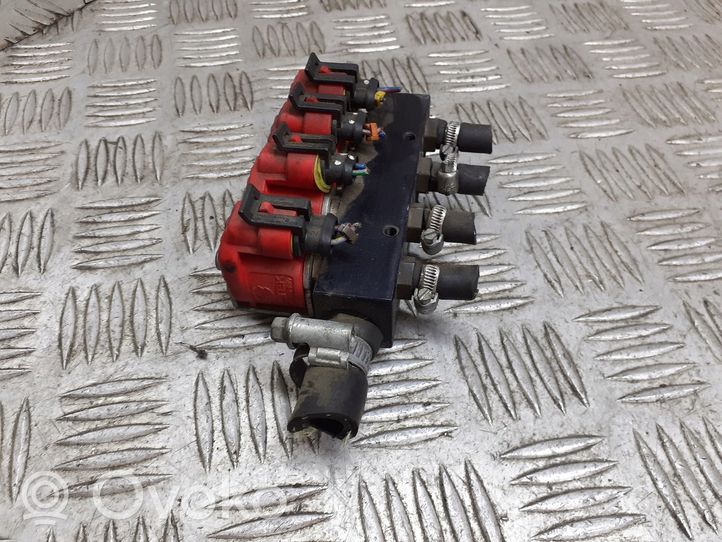 Volkswagen Golf IV LP gas injector 67R010104