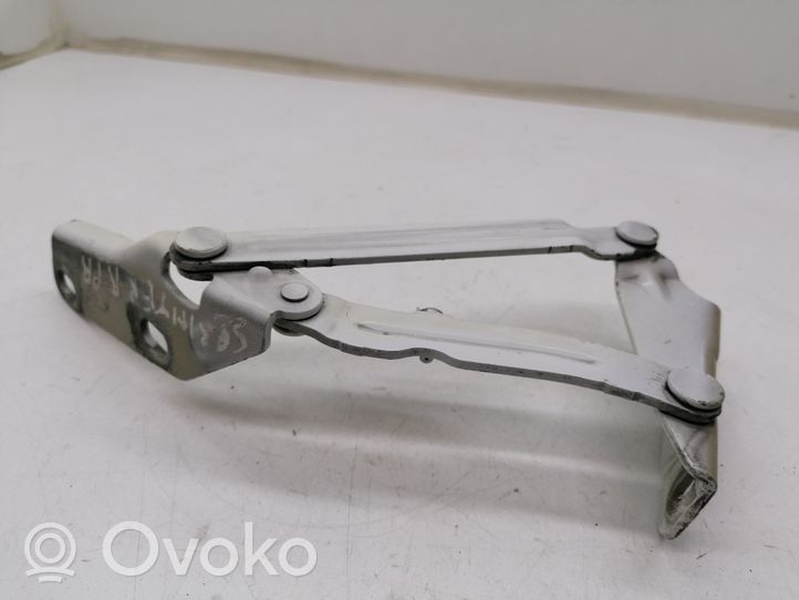 Mercedes-Benz 309 Cerniere del vano motore/cofano 9067500121