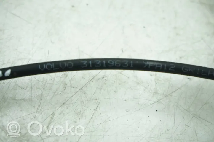 Volvo S60 Autres faisceaux de câbles 31319631