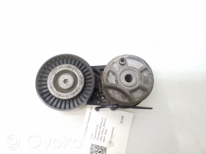 Ford Transit Napinacz paska wielorowkowego / Alternatora 