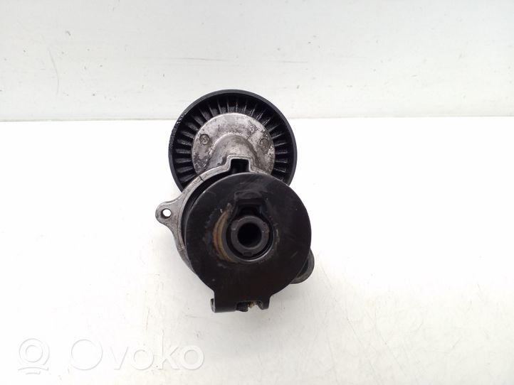 Mercedes-Benz C W204 Tendicinghia generatore/alternatore A2712000270