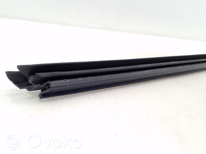 BMW 5 F10 F11 Rubber seal front door window/glass 7182278