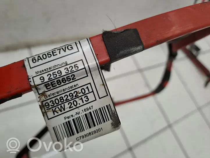 BMW 3 F30 F35 F31 Cavo positivo (batteria) 9259325