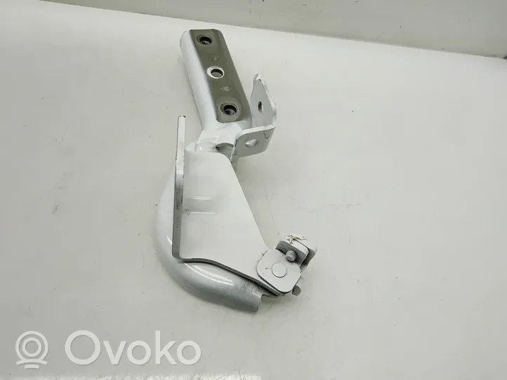 Mercedes-Benz Vito Viano W447 Cerniere del vano motore/cofano A4477500151