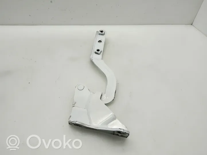 Mercedes-Benz Vito Viano W639 Cerniere del vano motore/cofano A6397500251