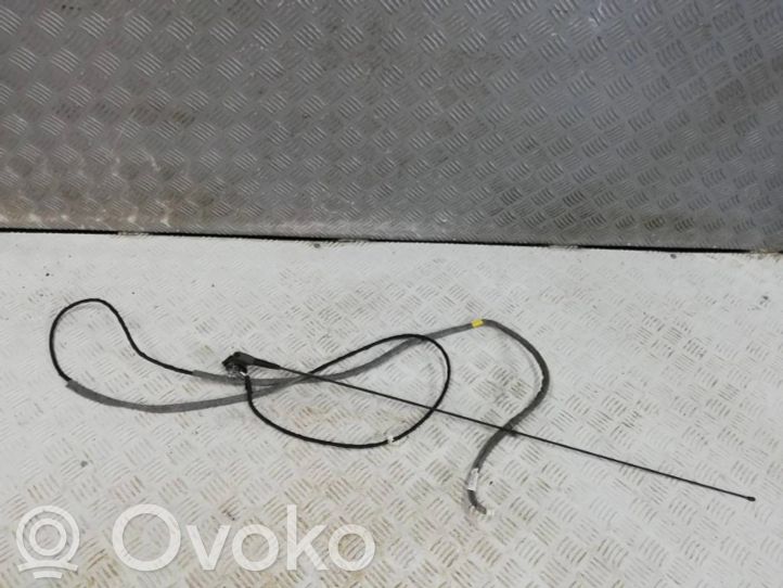 Dacia Duster Antenna autoradio, 20.00 € | OVOKO