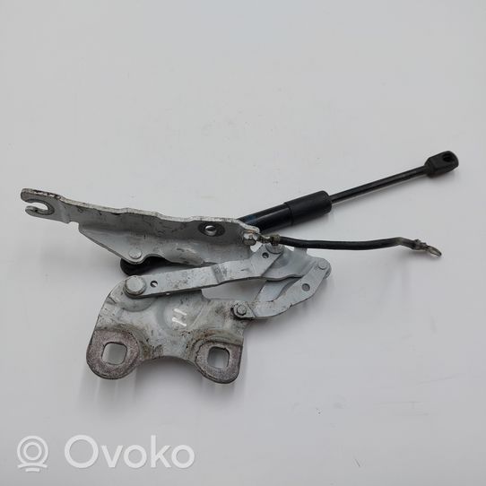 Mini Paceman (R61) Engine bonnet/hood hinges 