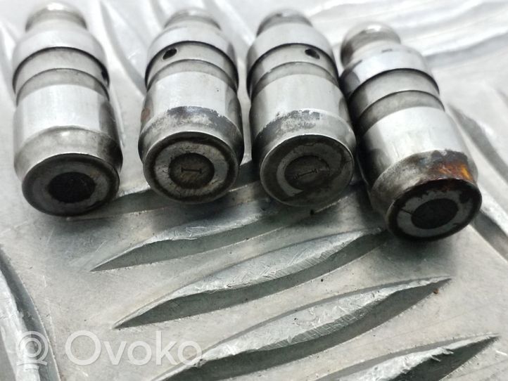 Volkswagen PASSAT B7 Tappets lifter 