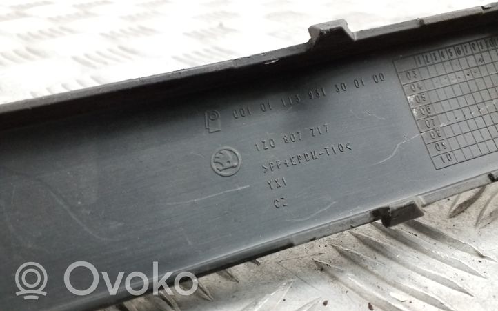 Skoda Octavia Mk2 (1Z) Modanatura separatore del paraurti anteriore 1Z0807717